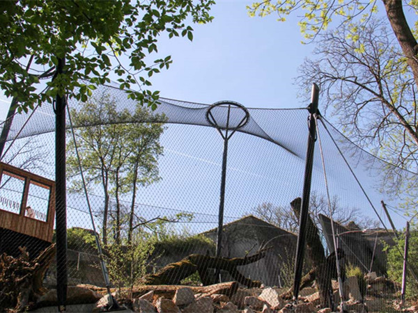 鳥語(yǔ)林網(wǎng)